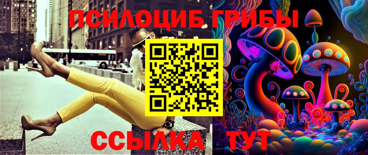 Псилоцибиновые грибы мухоморы Североморск
